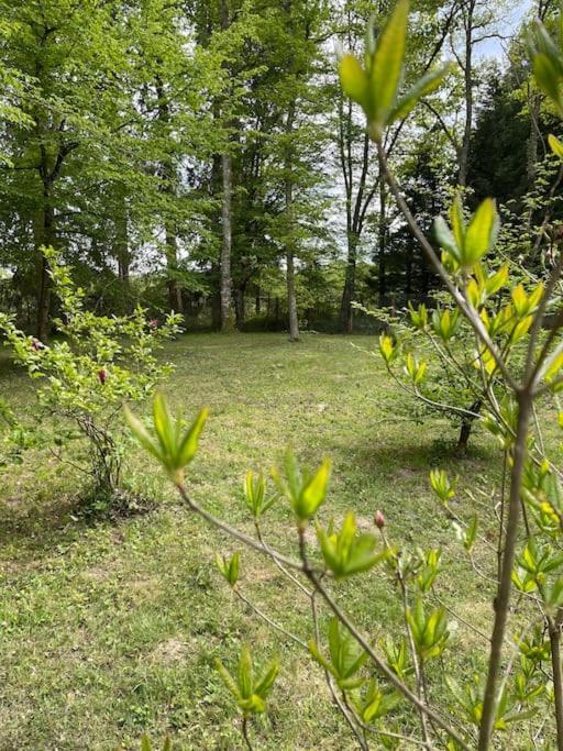 Gite Les Reculons Au Pied Du Lac Les Midoux Zewnętrze zdjęcie